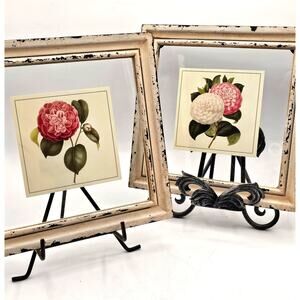 Set Of 2 Botanical Floral Prints Distressed Shabby Chic Camellia Framed Art